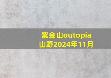 紫金山outopia 山野2024年11月